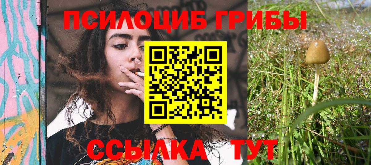Галлюциногенные грибы Psilocybine cubensis  Вход с VPN  Псилоцибиновые грибы мицелий  Дзержинский 