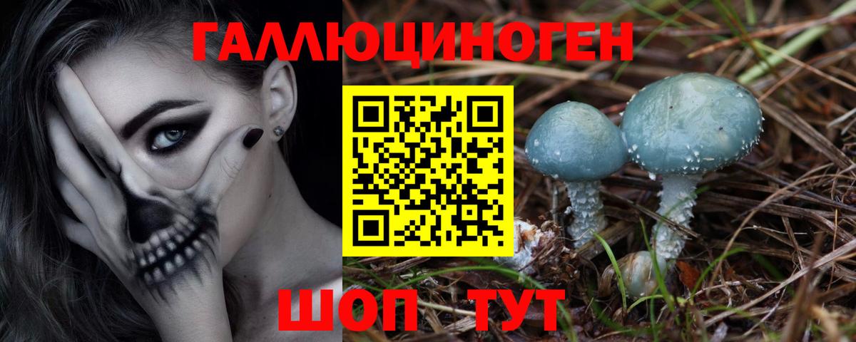 Галлюциногенные грибы Magic Shrooms Дзержинский
